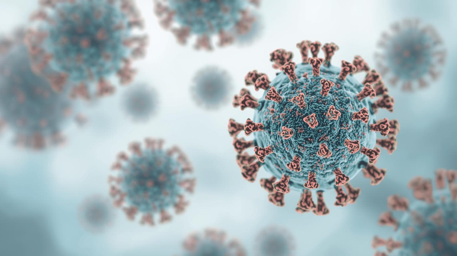 Mengenal Gejala Super Flu akibat Virus Influenza A H3N2 Subclade K