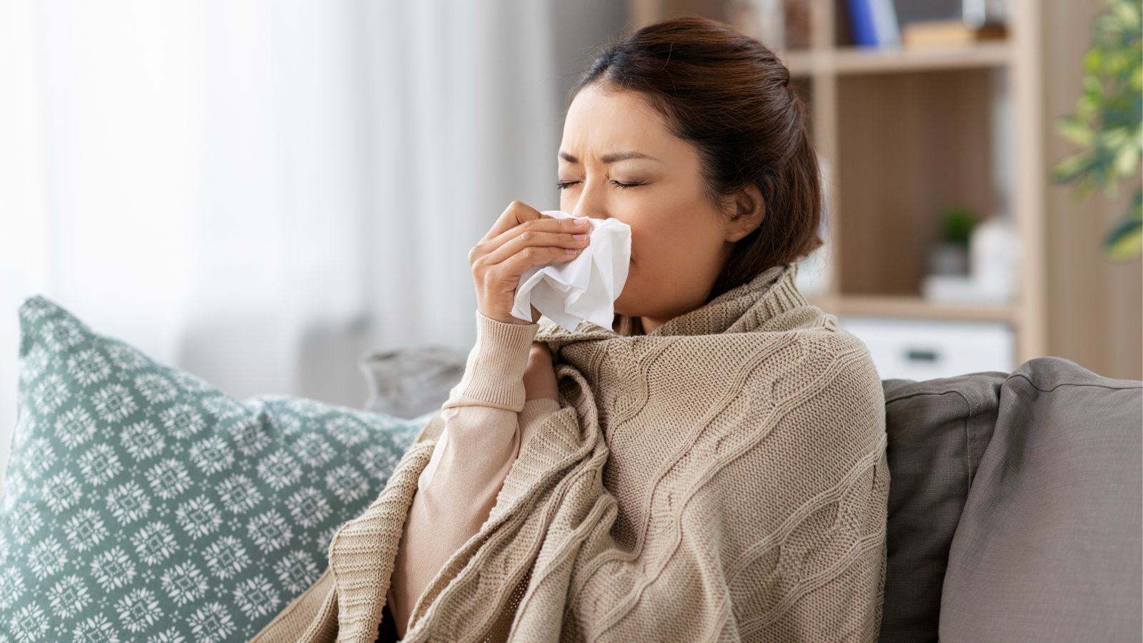 Kenalan Lebih Dekat Sama FLU