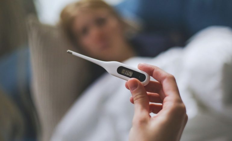 Virus nipah di India menjadi pengingat bahwa ancaman penyakit zoonosis masih sangat nyata. (Ilustrasi)