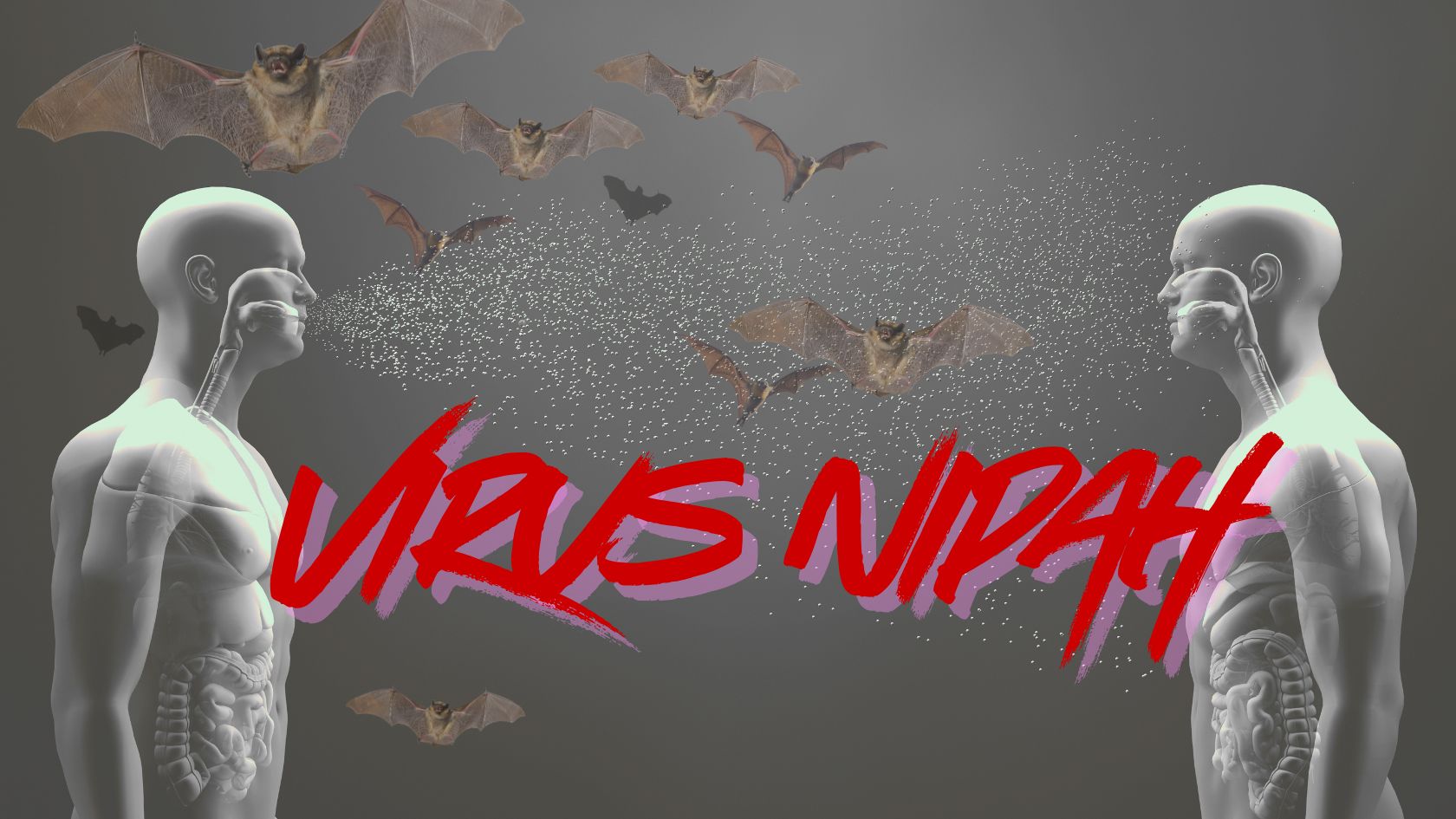 Pada fase awal infeksi, gejala virus Nipah sering kali tidak spesifik dan mirip dengan flu biasa. (Ilustrasi/Kita-Sehat.id)
